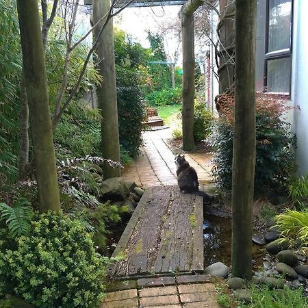 Secret Cottage Waitara Bagian luar foto