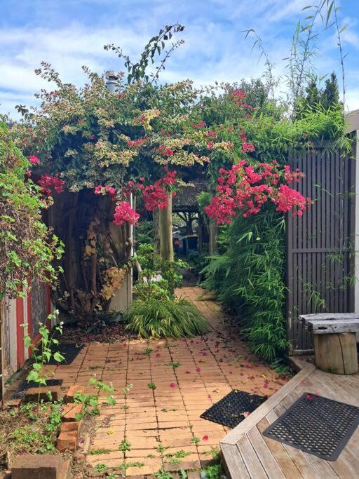 Secret Cottage Waitara Bagian luar foto