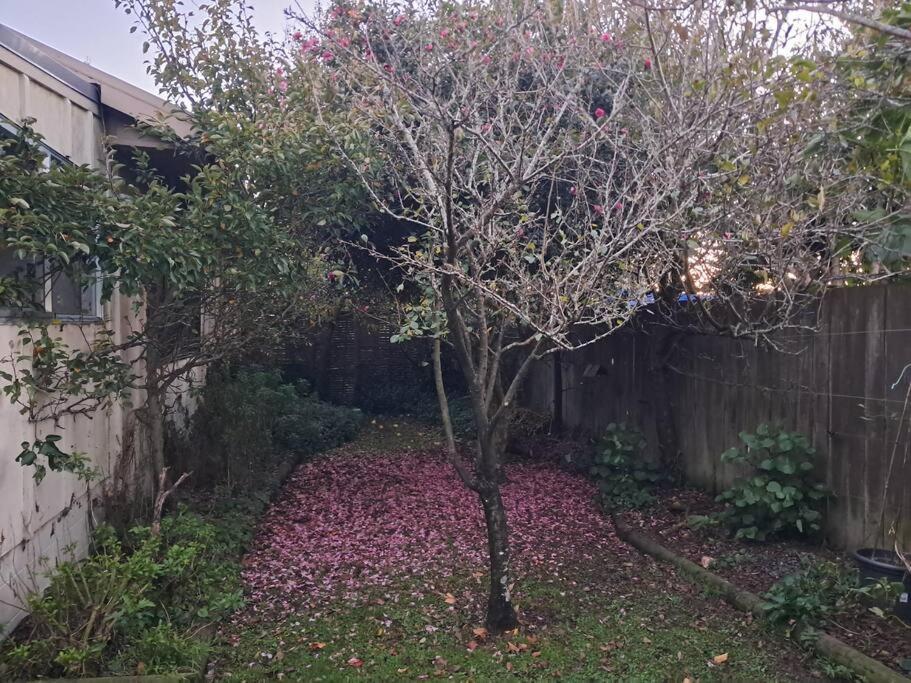 Secret Cottage Waitara Bagian luar foto