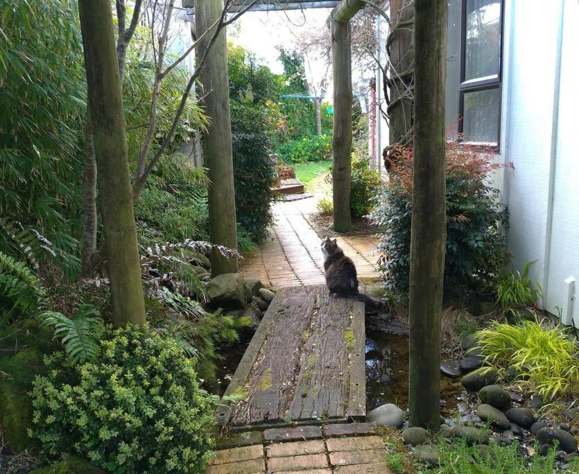Secret Cottage Waitara Bagian luar foto