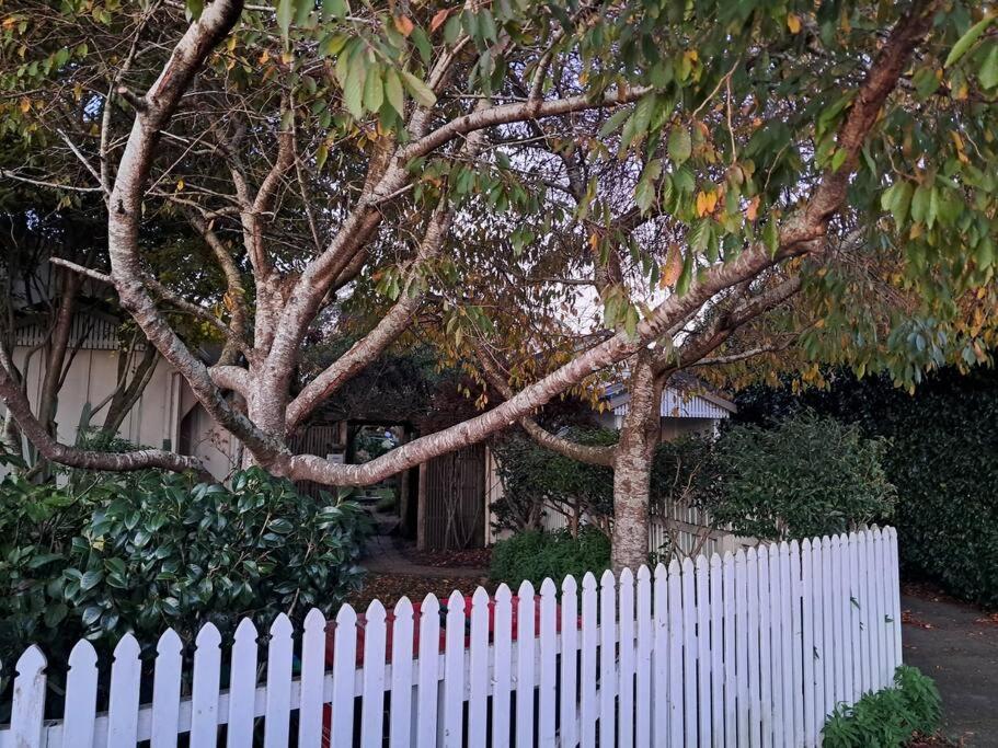 Secret Cottage Waitara Bagian luar foto
